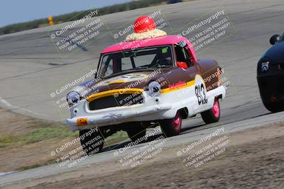 media/Oct-01-2023-24 Hours of Lemons (Sun) [[82277b781d]]/1045am (Outside Grapevine)/